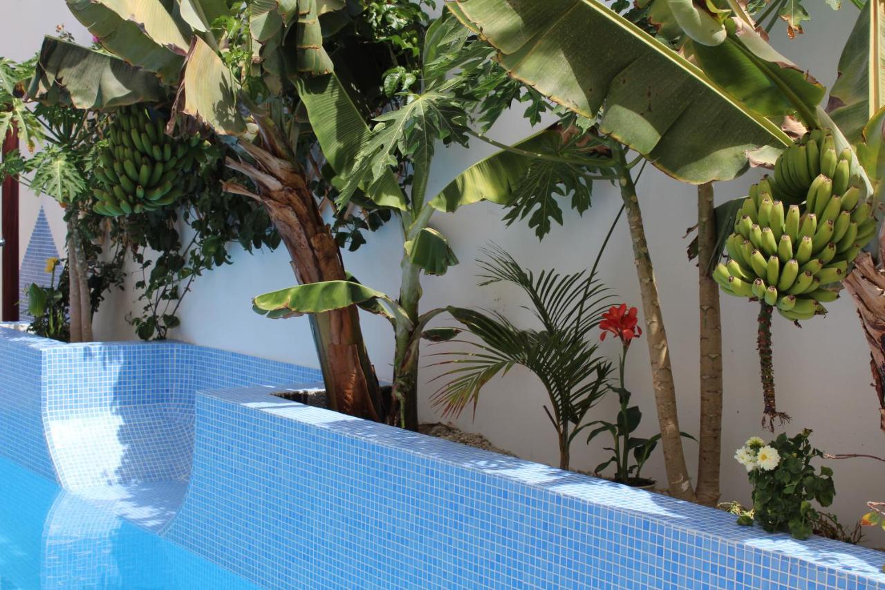 Casa El Olivo, Tenerife Valle de San Lorenzo Zewnętrze zdjęcie