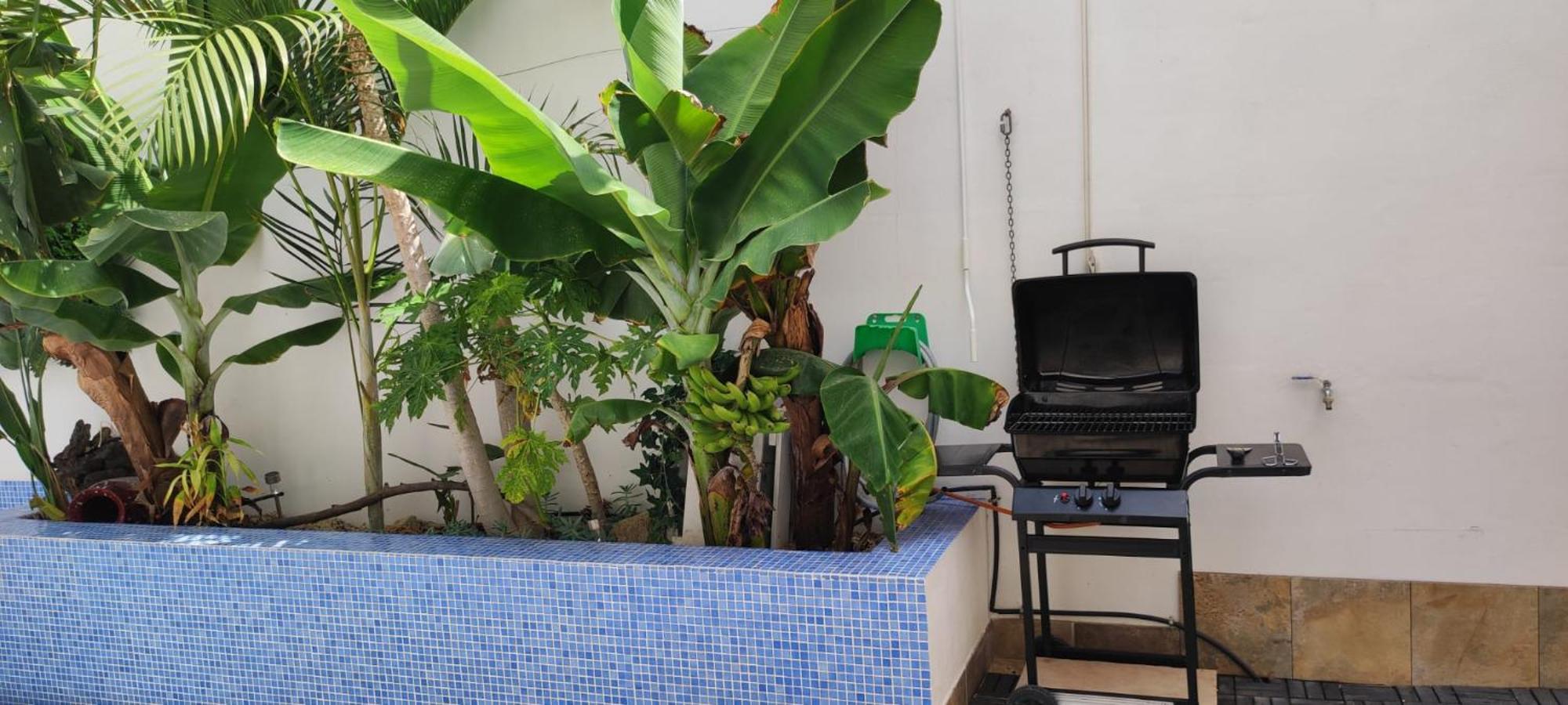 Casa El Olivo, Tenerife Valle de San Lorenzo Zewnętrze zdjęcie